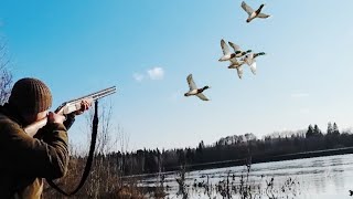 ГОЛОДНЫЕ!!! ШИКАРНОЕ ОТКРЫТИЕ ОХОТЫ. ПАДАЛИ КАМНЕМ НА ЛЁД.