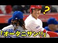 大谷に向かってきた敵選手が次の瞬間・・ゲレーロJrの本性と大谷への発言に感動が止まらない！！【MLB】