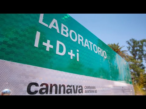 Video: Laboratorio Publico