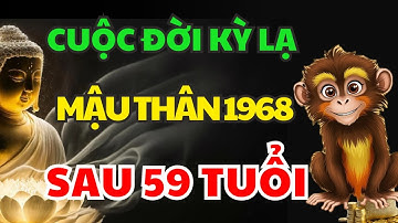 Vén Màn Vận Mệnh Mậu Thân 1968 Sau 58 Tuổi Tránh 3 Điều Đại Kỵ Ắt Được Trời Độ, Phúc Lộc Đầy Nhà