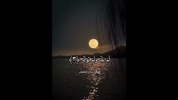 سورة الإخلاص | عادل المشوري #اكسبلور #المصحف #راحة_نفسية #تيك_توك #دويتو #لايك #ترند #حالات_واتس