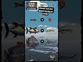 Catch of the Day: Open Oceans! Voting opens today, head to our latest YouTube post! #catchoftheday
