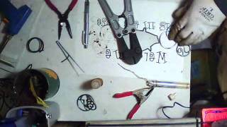 pig in the rose001.wmv