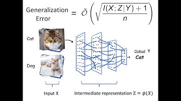 ICML 2023 - How Does Information Bottleneck Help Deep Learning?