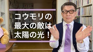 天照大神の公式霊言が降りた！【日本国民必聴】