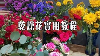 乾花 Youtube 乾花 Youtube