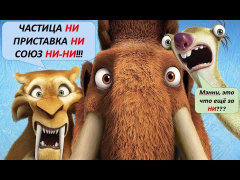 Частица ни приставка ни союз ни-ни русский 7 кл