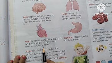 Class 2 evs // evs class 2 // science