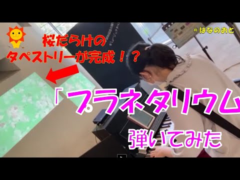 はなのおと🎹✨【ストリートピアノ】桜だらけのミュージックタペストリーが完成！？セミの鳴き声を聞きながら、「プラネタリウム」を弾いてみた♪