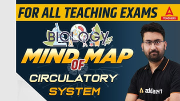 For All Teaching Exams | Biology | Mind Map of Circulatory System | By Amit Sir