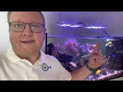 Vidéo: Dois-je Ajouter Moonlight à Mon Aquarium Récifal ?