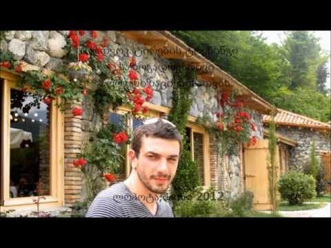 ადვოკატირების ტრენინგი, ლოპოტა,2012wmv