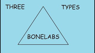 The 3 Main Types of Bonelab Players