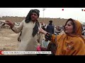 Quetta Cattle Market Current Situation: 2 Days Before Eid