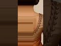 New Let's Back Neck Design#shortvideo #blouse #wedding #fashion.back neck blouse design#shortvideo 😍