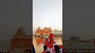 shorts punjab goldentemple amritsar shortsfeed shortvideo trending viral short ytshorts
