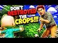 Cocomelon JJ Destroy the Crops Daddy got Mad (Sponsored By Klasky Csupo Effects)