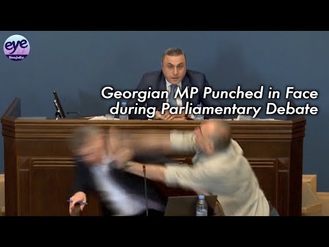 Lawmakers brawl as Georgian Parliament considers ‘foreign agent’ bill