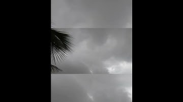 barish #shorts #weather #music #shortvideo #video #status #raining