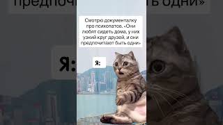 🙀 #котики #приколы #животные #документалка