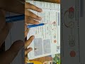Chemistry chapter chemical reaction and equation topic displacement reaction class 10 CBSE