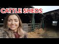 TOUR OF OUR CATTLE SHEDS