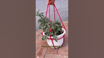 How made flower pot hanging knot with rope #shorts #diy #handmade