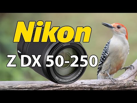   50 250       50       50 