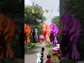 Big dinosaur chase T-rex chasingpart -1565#shorts #dinosaur#youtube#dinosaurs #superman#ddininner🐯🦣🦖