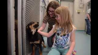 Carroll County Animal Shelter Photo Story