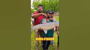 Catching Fish by Pulling Net in Shallow Village Canal #Shorts
