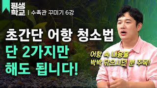 [#EBS평생학교] 6강 쉽게 따라 하는 어항 청소│강성원의 수족관 꾸미기