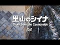田舎暮らし 061:蔵に溜まった水を抜く