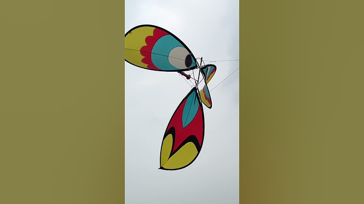 Tổng hợp thả diều sáo phần 2 #sáodiều #kite #dieusao #kiteflying #hướngdẫnlàmdiều #diềusáo