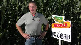 DKC56-65RIB
