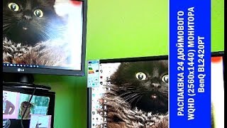 ГадЖеТы: достаем из коробки 24дюймовый WQHD (2560х1440) монитор BenQ BL2420PT ГадЖеТы: достаем из коробки 24дюймовый WQHD (2560х1440) монитор BenQ BL2420PT
