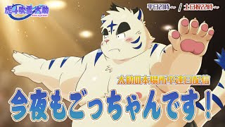 今夜もごっちゃんです！太助の本場所中連日配信【十一月場所初日】
