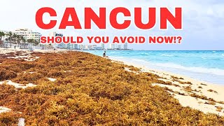 CANCUN SEAWEED PROBLEM (Report + GUIDE)  MAY 2024 #seaweed #sargassum #cancun #mexico