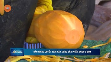 BẮC GIANG QUYẾT TÂM XÂY DỰNG SẢN PHẨM OCOP 5 SAO | VTV5