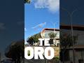 TE ORO | AUCKLAND
