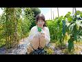実家に出戻りして父と暮らす、畑の野菜を収穫して売る1日。