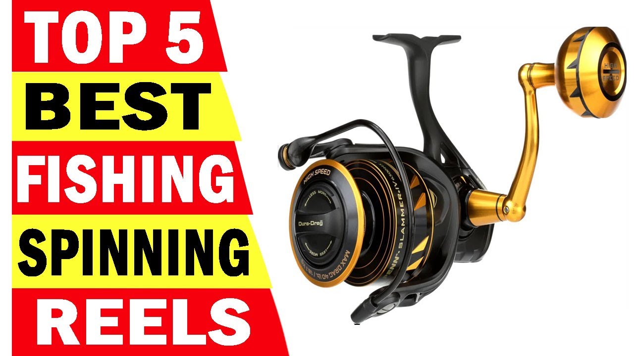 Top 5 Best Fishing Spinning Reels in 2024 YouTube
