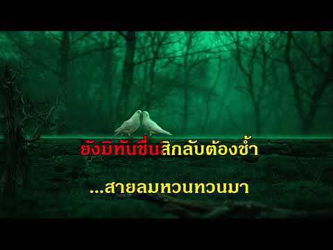 กุหลาบร่วง นงลักษณ์ เพลงลูกกรุง รวมเพลง ฟังเพลง คีย์ผู้หญิง ร้อง คาราโอเกะ ช่วงกักตัวโควิด 19