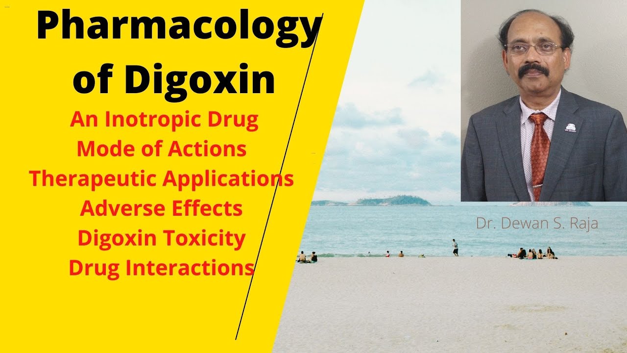  Digoxin Brainfarma リーフレット