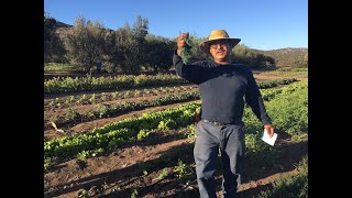 Salvador Tinajero, Farm Manager at Rancho La Puerta, Tecate, B.C. Mexico