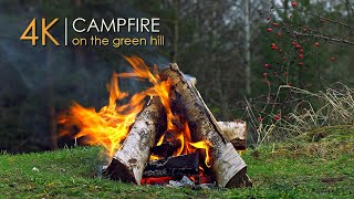 Campfire on a Green Hill ⛰ Authentic Sounds & Natural Relaxation
