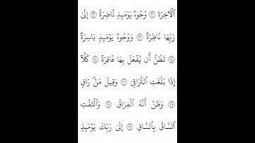 سورة القيامة الجزء الثاني القارئ ياسر الدوسري