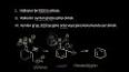 Kimyada Nükleofilik İkame Reaksiyonları ile ilgili video