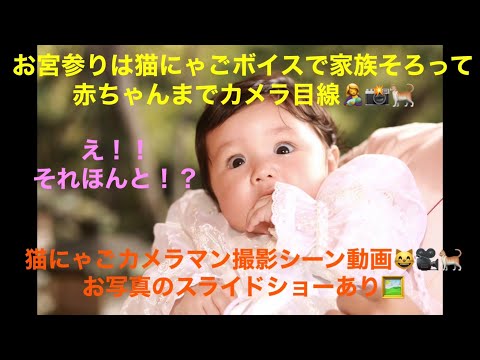 猫にゃごカメラマン📸🐈