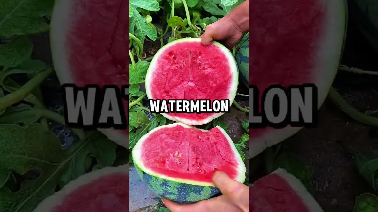 Papaya: THE Acne Eliminating Superfruit